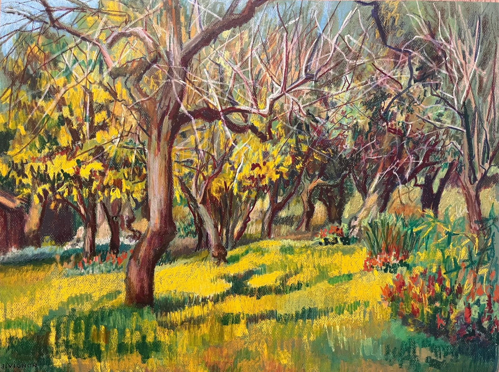 Josine Vignon Sun-Drenched Orchard Provence Oil Pastel Painting (1 of 8)