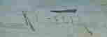 item-40763643=4