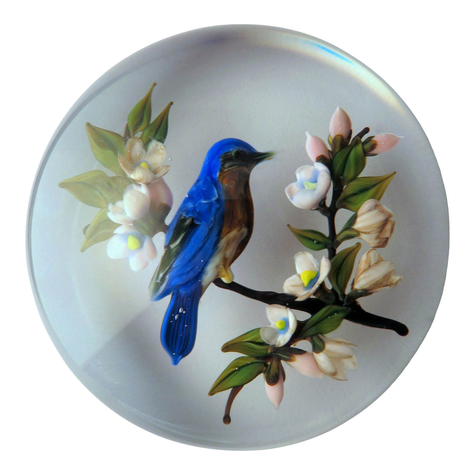 1984 Ltd Ed Rick Ayotte Bluebird Astromeria Paperweight (1 of 3)