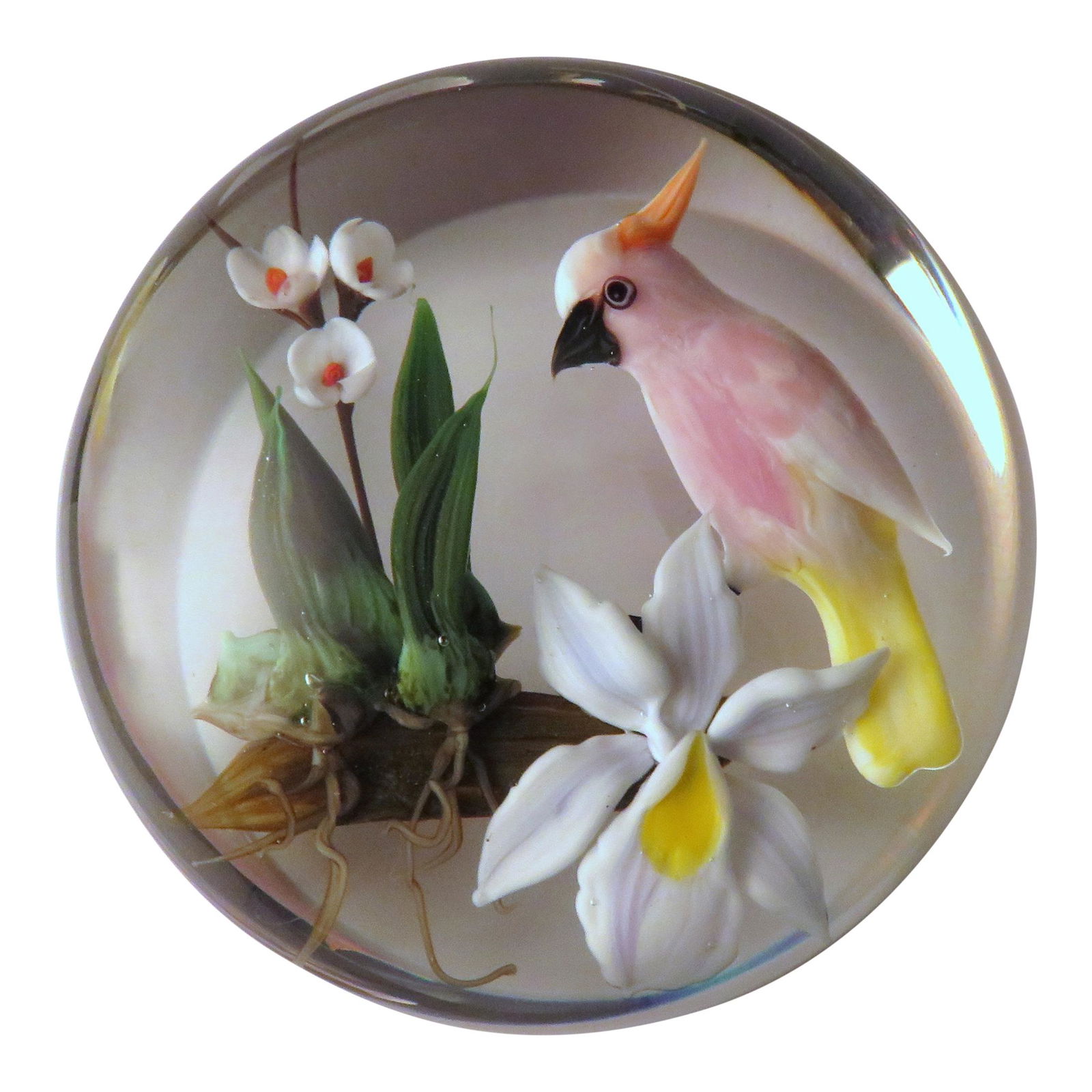 1987 Limited Edition Rick Ayotte Cockatoo Paperweight (1 of 3)