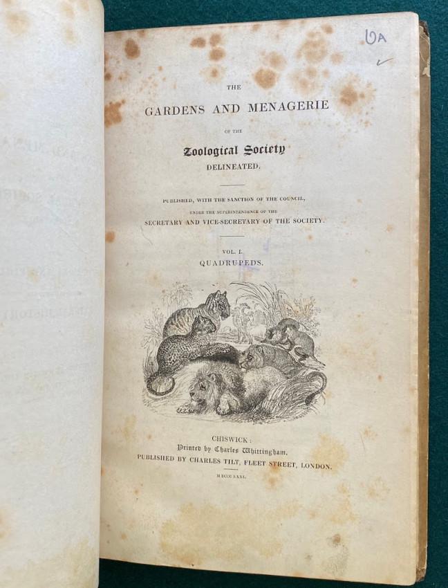 The Gardens and Menagerie of the Zoological Society: Robert Edward BRANSTON (1803-1877) & John WRIGHT (engravers) - William HARVEY, [Edward LEAR & others?] (artists) - [Edward Turner BENNETT (1797-1836)]. The Gardens and Menagerie of the Z