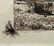 PIUTE CREEK, YOSEMITE, California. - [Unknown - 4