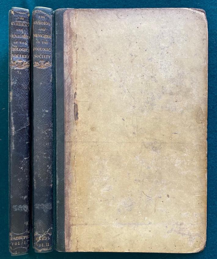 India paper issue Edward LEAR's 1st pub. work 1831: Offered for sale by Adam Langlands of 'Shadowrock Rare Books' - for more information please contact him via email at adamlanglands@gmail.com Robert Edward BRANSTON (1803-1877) &