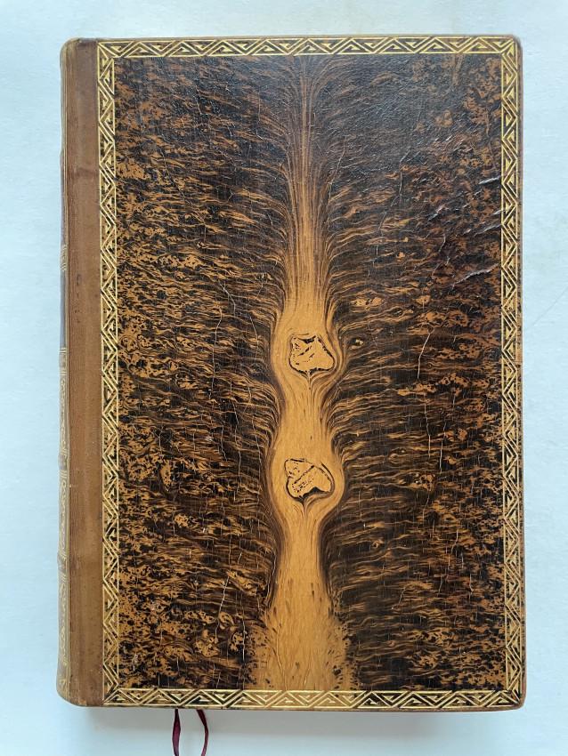 Fine tree calf binding on Tennyson works (1 of 4)