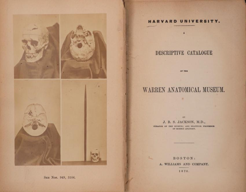 Skulls: Offered for sale by Fred Pajerski : Photography Books - for more information please contact him via email at fredpajerski@gmail.com. Jackson, J. B. S. A Descriptive Catalogue of the Warren Anatomical 