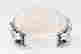 item-131286161=4