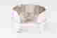 item-131286247=4