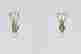 item-131833133=2