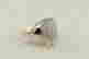 item-131833156=4