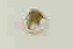 item-131833156=5