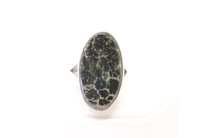 Native America Navajo Sterling Silver Black Onyx Ring By T.F.