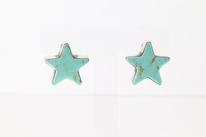 Native America Navajo Sterling Silver Kingman Turquoise Star Post Earring's By Donovan Skeets.