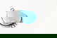 item-209246721=2