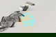 item-209246736=1