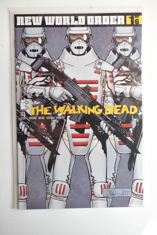 (15+) Walking Dead Comic Grouping (1 of 4)