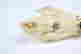 item-126881468=2