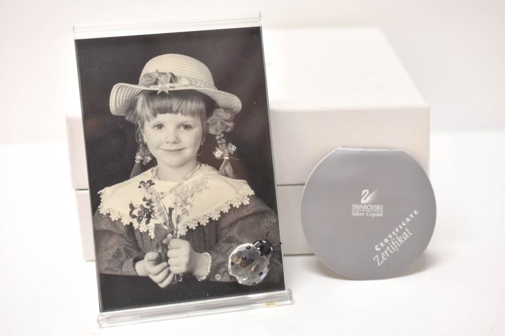 Swarovski Picture Frame Ladybird / Ladybug (1 of 5)
