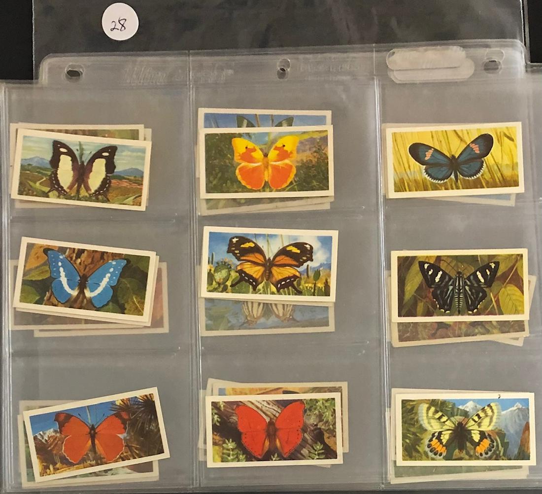 LOT 36 CIRCA 1950'S BUTTERFLY CARDS (1 of 9)
