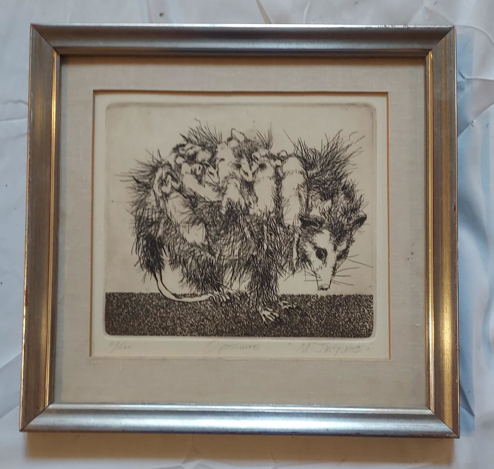 MICHAEL JACQUES etching of opossums signed and # (1 of 11)