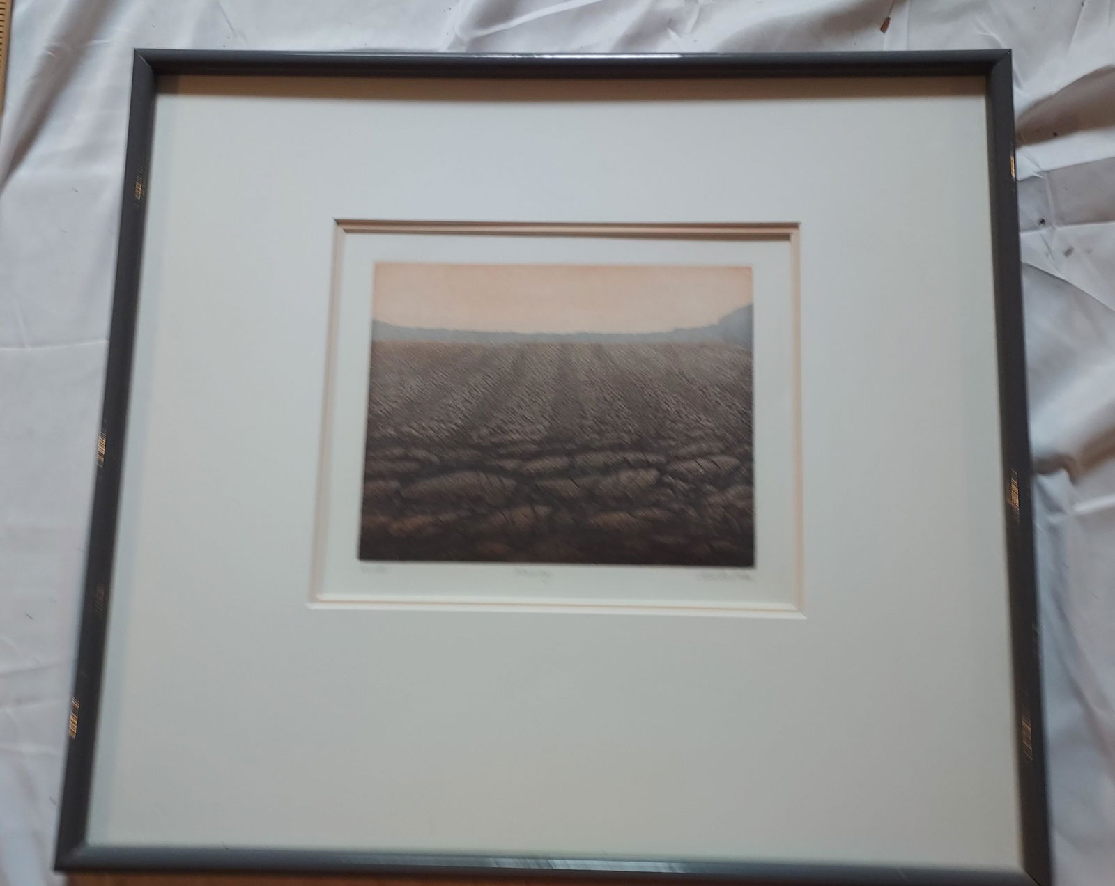 Signed illegibly Colored etching february signed # (1 of 11)