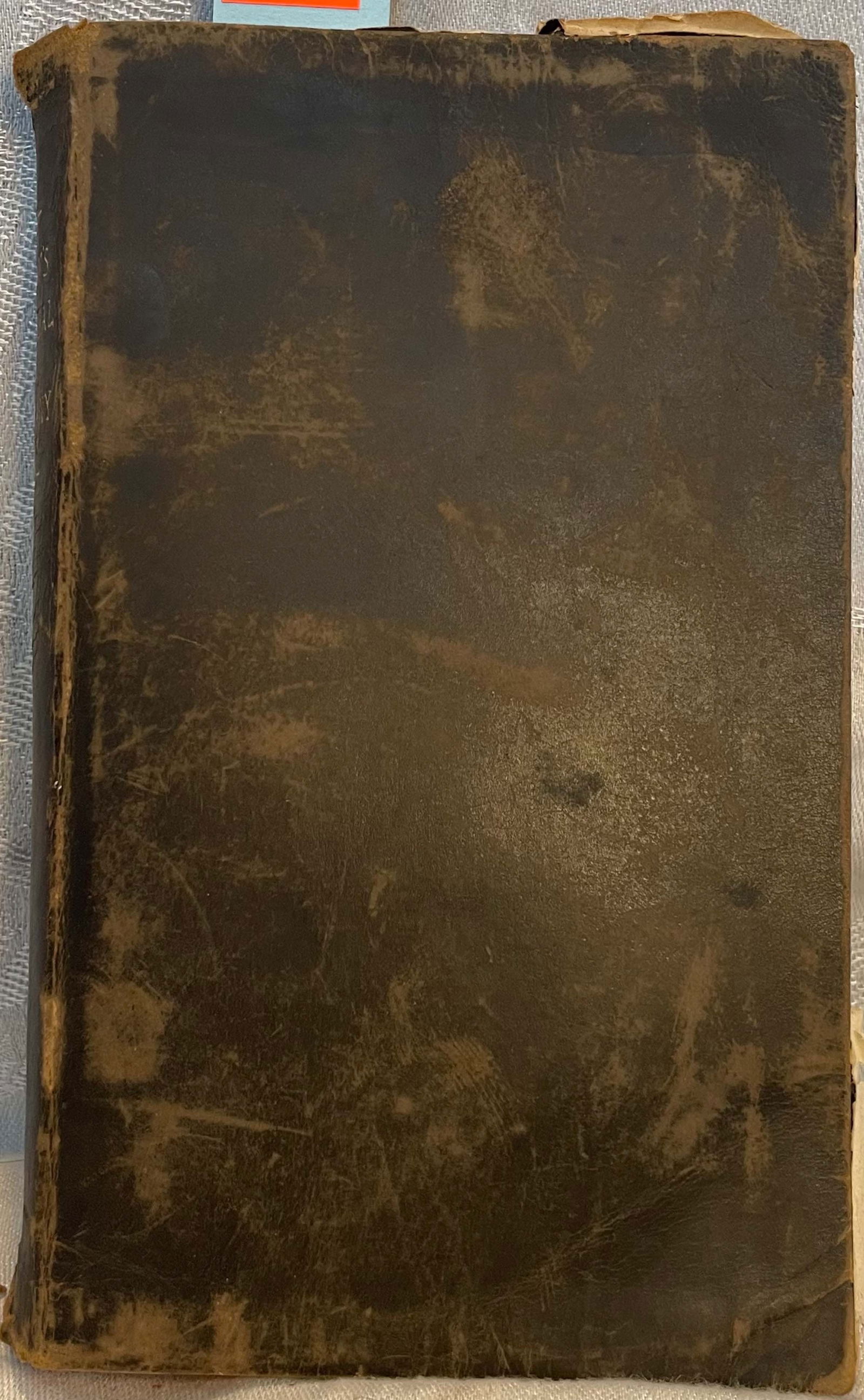 MANUAL OF THE BOTANY OF THE NORTHERN UNITED STATES, ASA GRAY, 1889 (1 of 13)