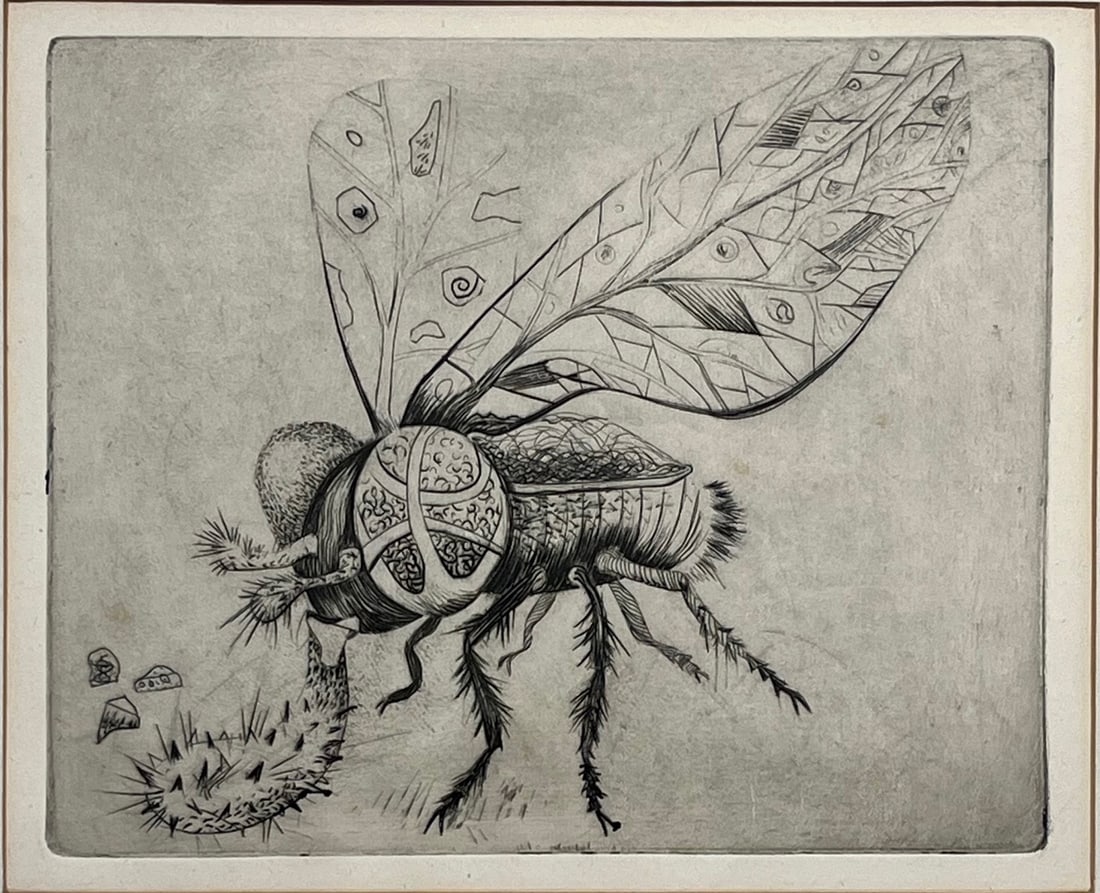 ANTIQUE ENGRAVING OF "THE FLY" - FRAMED (1 of 6)