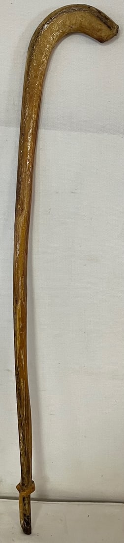 UNUSUAL ANIMAL ORGAN CANE OR WALKING STICK: UNUSUAL ANIMAL ORGAN CANE OR WALKING STICK - MEASURES APPROX. 31" LONG