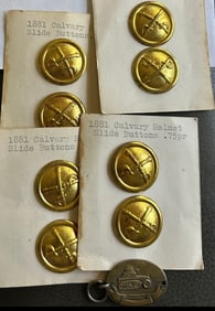LOT OF EIGHT 1881 CAVALRY HELMET SLIDE BUTTONS & U.S. TANK DESTROYER MEDALLION