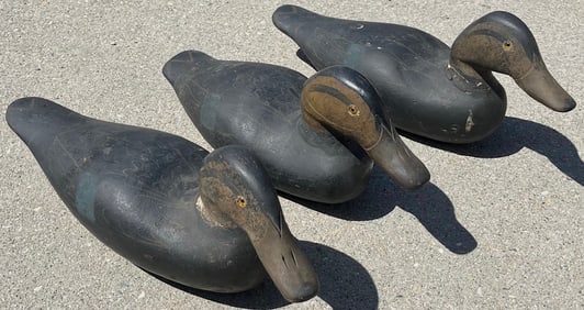 Lot of 3 Vintage / Antique Hand Carved Wooden Black Duck Decoys in Original Painted Surfaces