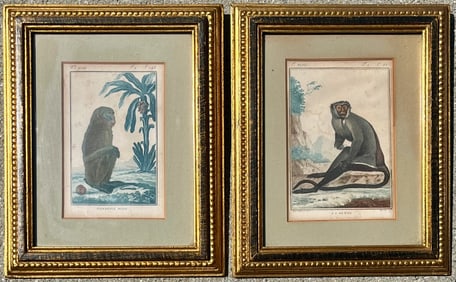 Pair of 18th C. Framed Monkey Engravings, Plate 18 Mandrill Male, Plate 47 LA DIANE