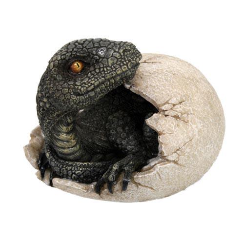 DINOSAUR EGG: DINOSAUR EGG **|**|** DINOSAUR EGG #TLJ54991