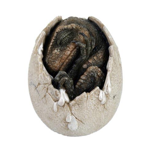 DINOSAUR EGG: DINOSAUR EGG **|**|** DINOSAUR EGG #TLJ54989