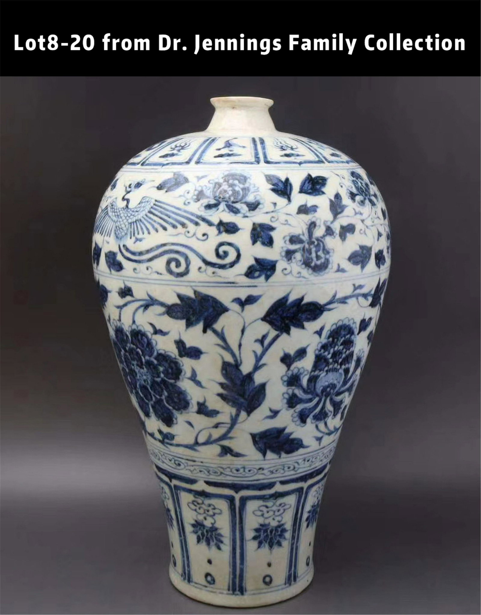 CHINESE PORCELAIN BLUE AND WHITE FLOWER MEIPING VASE (1 of 10)