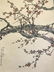 NO RESERVED CHINESE SCROLL PAINTING OF TWO CATS SIGNED - 2