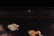 CHINESE SOAPSTONE INLAID ROSEWOOD TABLE SCREEN - 5