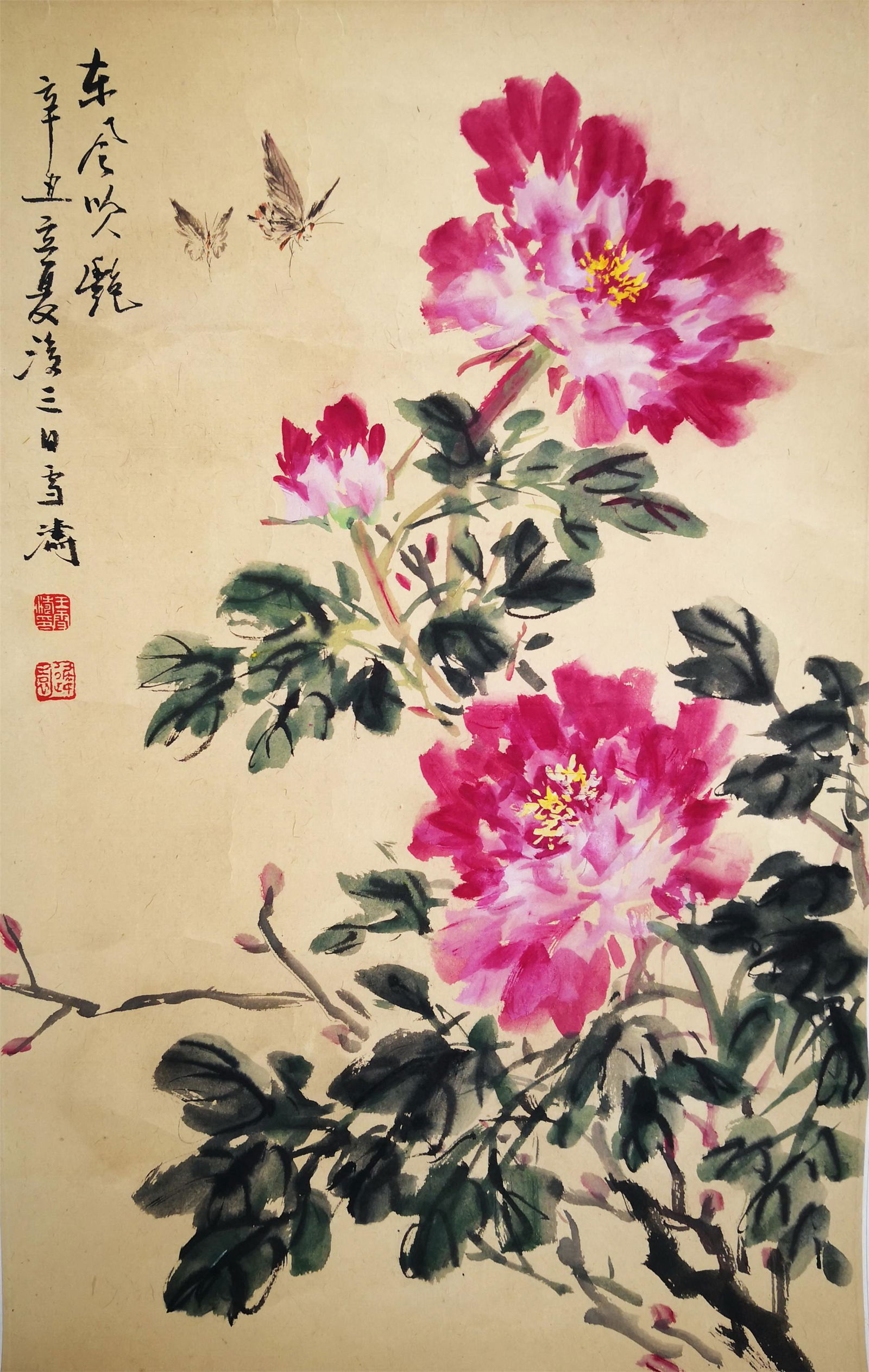 CHINESE SCROLL PAINTING OF BUTTERFLY AND FLOWER SIGNED (1 of 5)