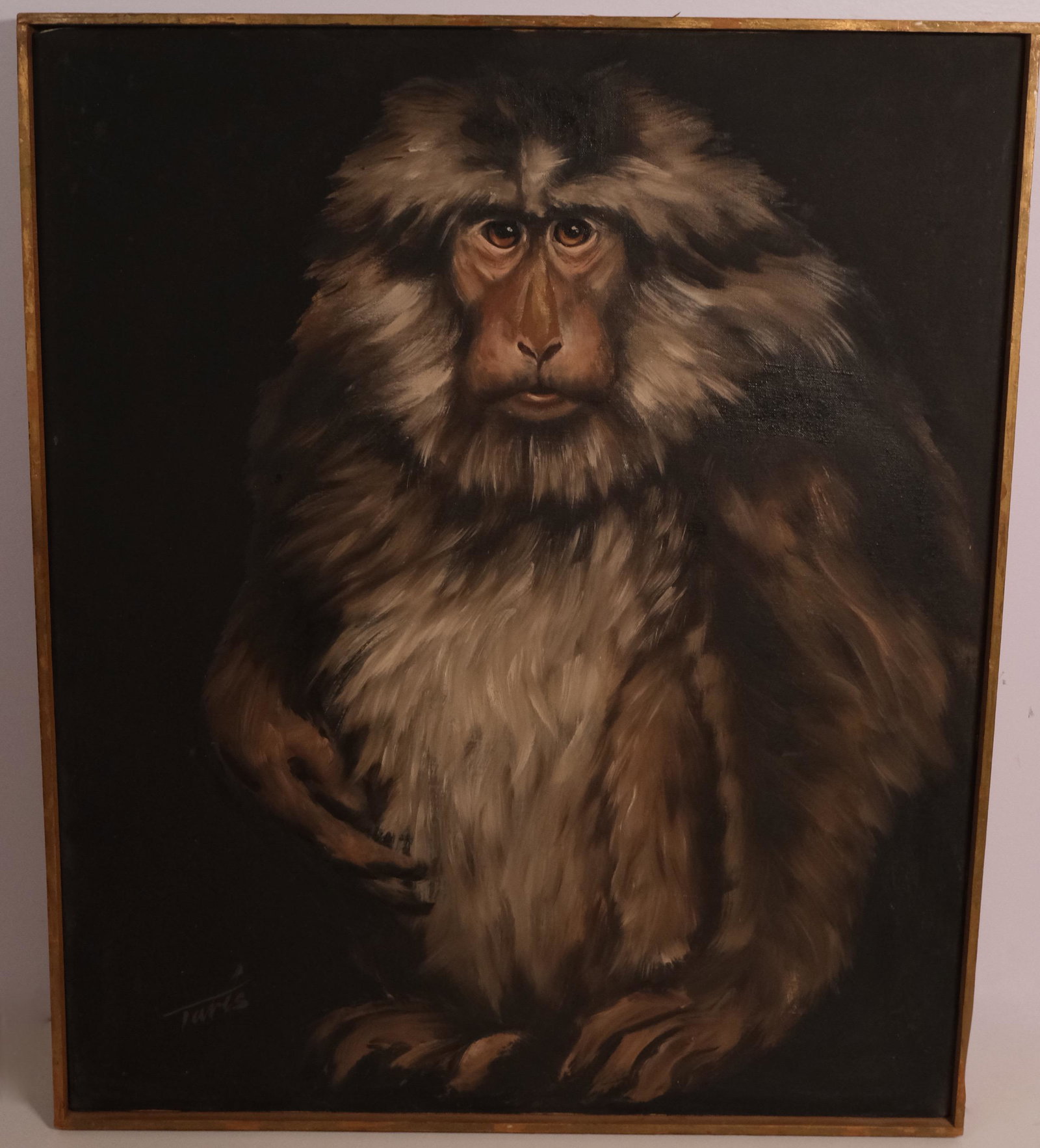 OIL CANVAS PAINTING OF A MONKEY: OIL CANVAS PAINTING OF A MONKEY DescriptionSignature to the lower left reads Taris.Measured:H-24in. W-20in.
