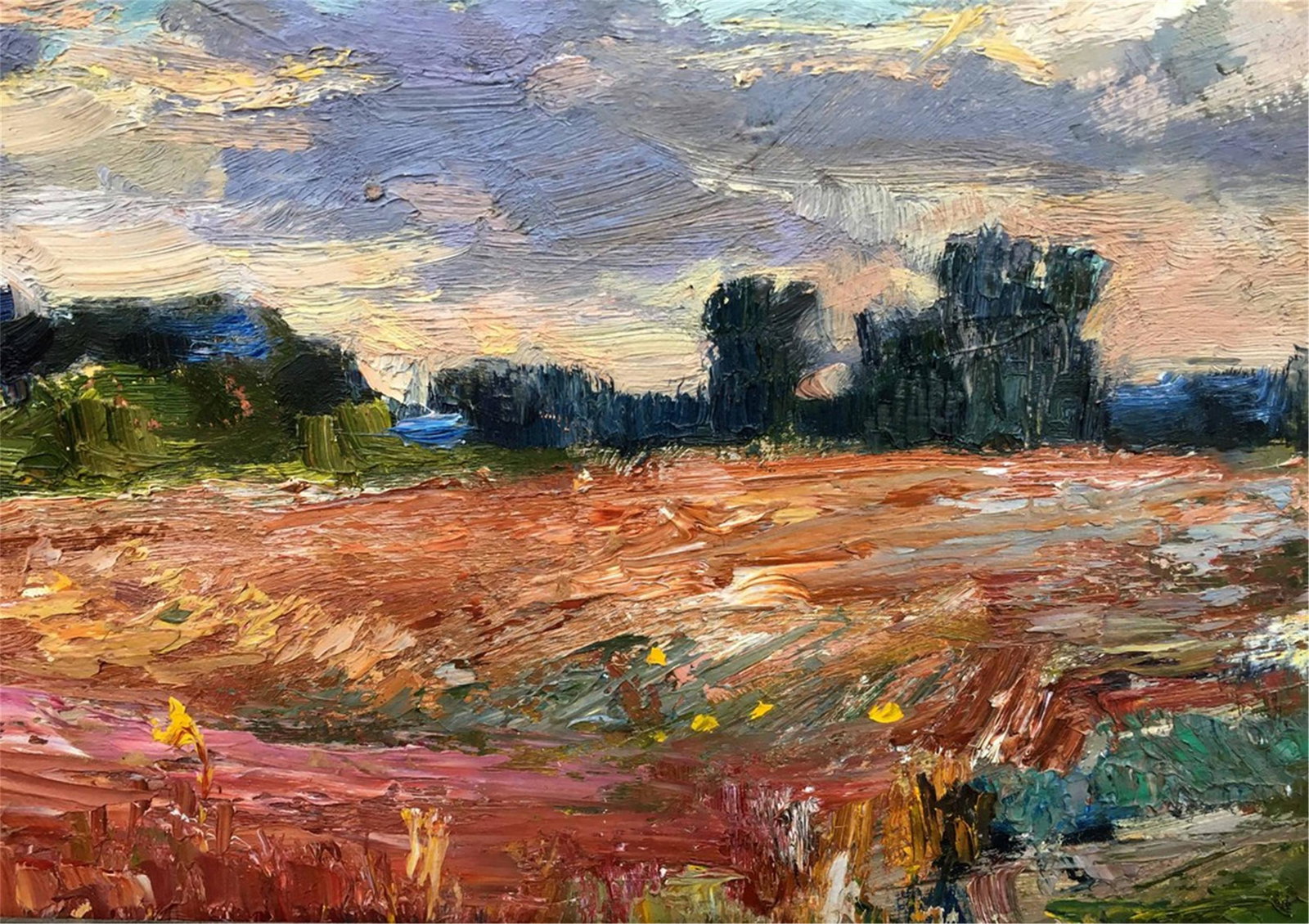 NO RESERVE Fields oil painting Vladimir Vasilyevich (1 of 8)