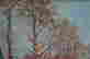 item-98955090=3