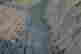 item-98955090=5
