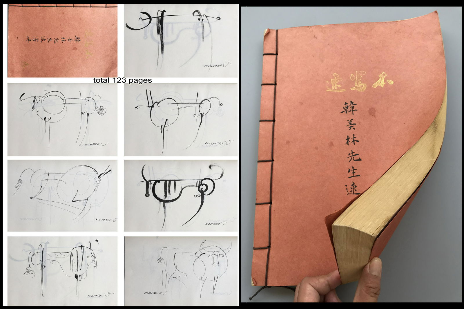123 PAGES OF CHINESE ALBUM SKETCH PAINTING OF ANIMAL (1 of 9)