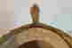 item-136573362=7