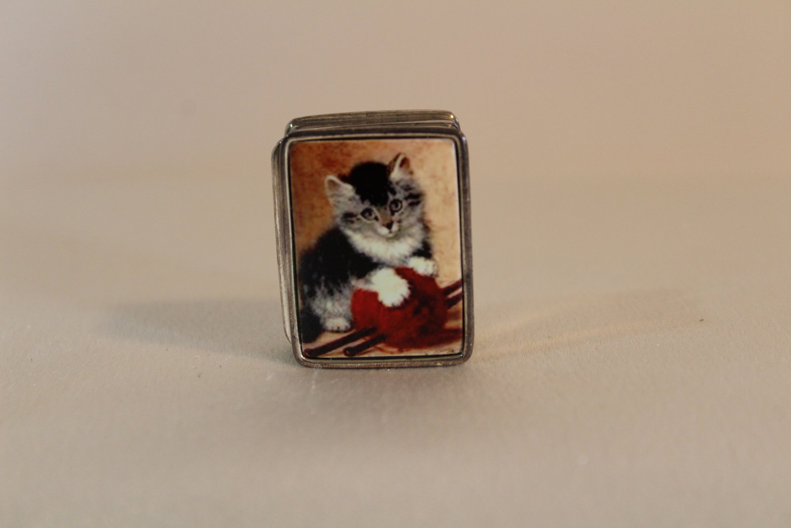 SILVER ENAMEL CAT BOX