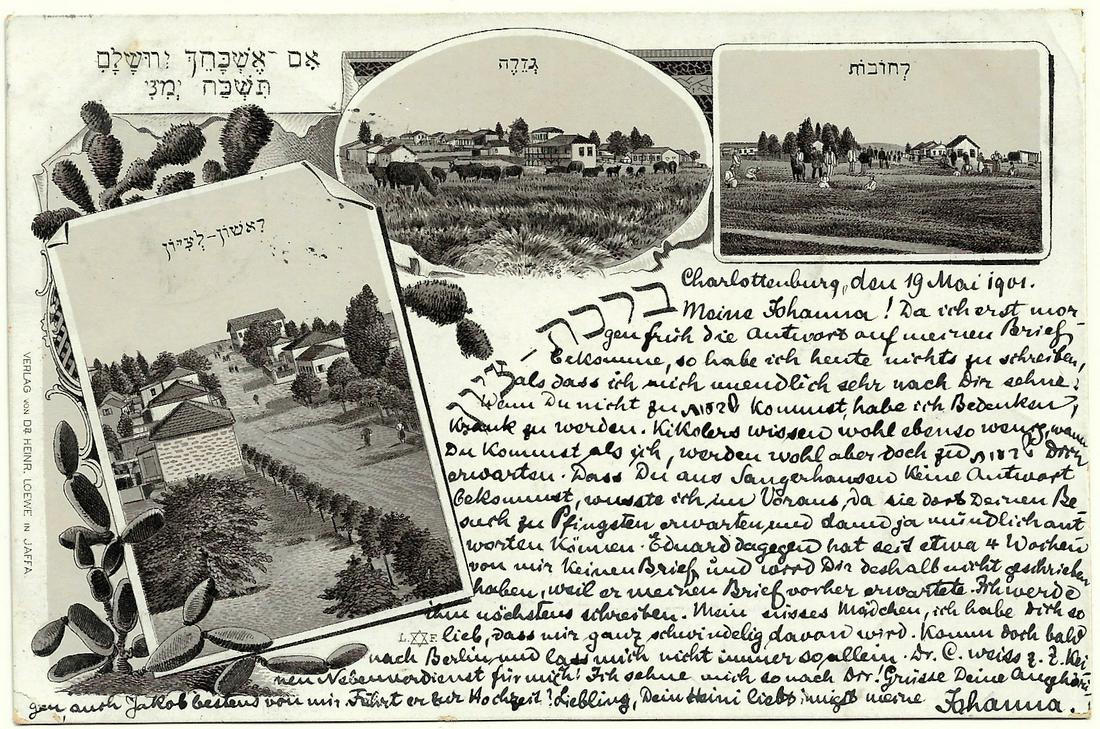 Jewish Colonies in Palestine Postcard - Loewe, Jaffa: Postcard with printed illustrations of the Jewish colonies Rehovot, Gedera and Rishon LeZion, alongside the printed inscriptions: If I forget thee oh Jerusalem let my right hand forget her cunning, Bi