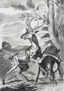 Carl Brenders: Drawing on paper 11 ½ x 8 in, manner of Carl Brenders (born 1937) is a naturalist and painter, born near Antwerp, Belgium. The painter is most famous for his detailed and lifelike paintings of