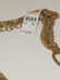 Talbot's Necklace (Unworn w/tags) - 2