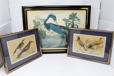 Audubon Print Collection