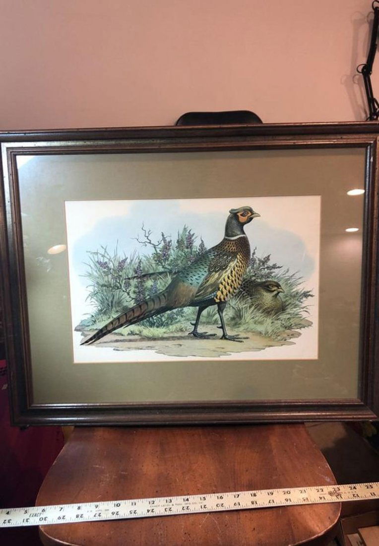 Prints N Things Framed Pheasant Print Preowned (1 of 3)