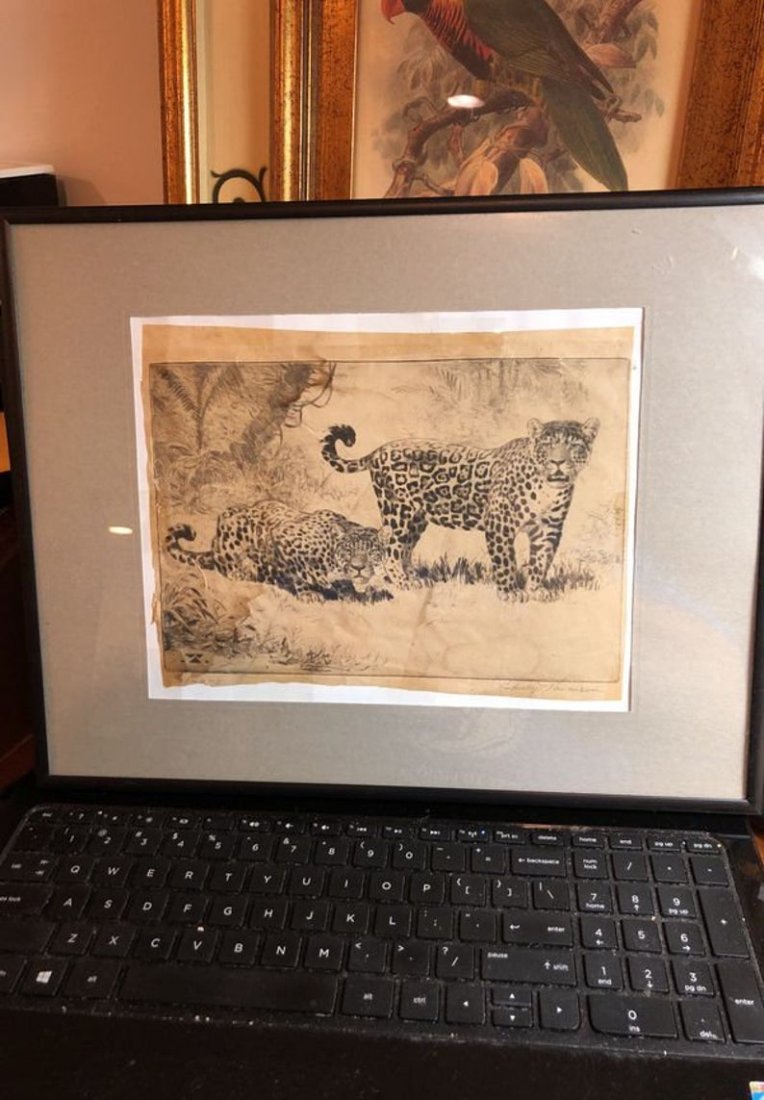 Rodney Thomson Drypoint Signed Artwork “Jaguars” ..... (1 of 7)