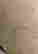 item-82431421=6